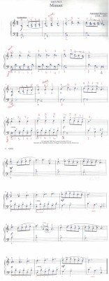 minuet notes 1 page.jpg
