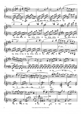 Clair de Lune-page-002.jpg