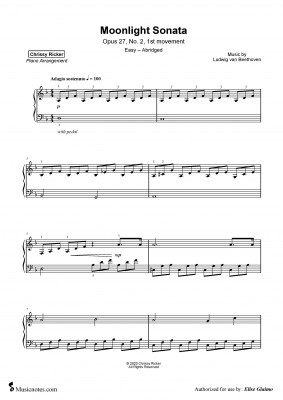 Moonlight Sonata abridged-page-001.jpg
